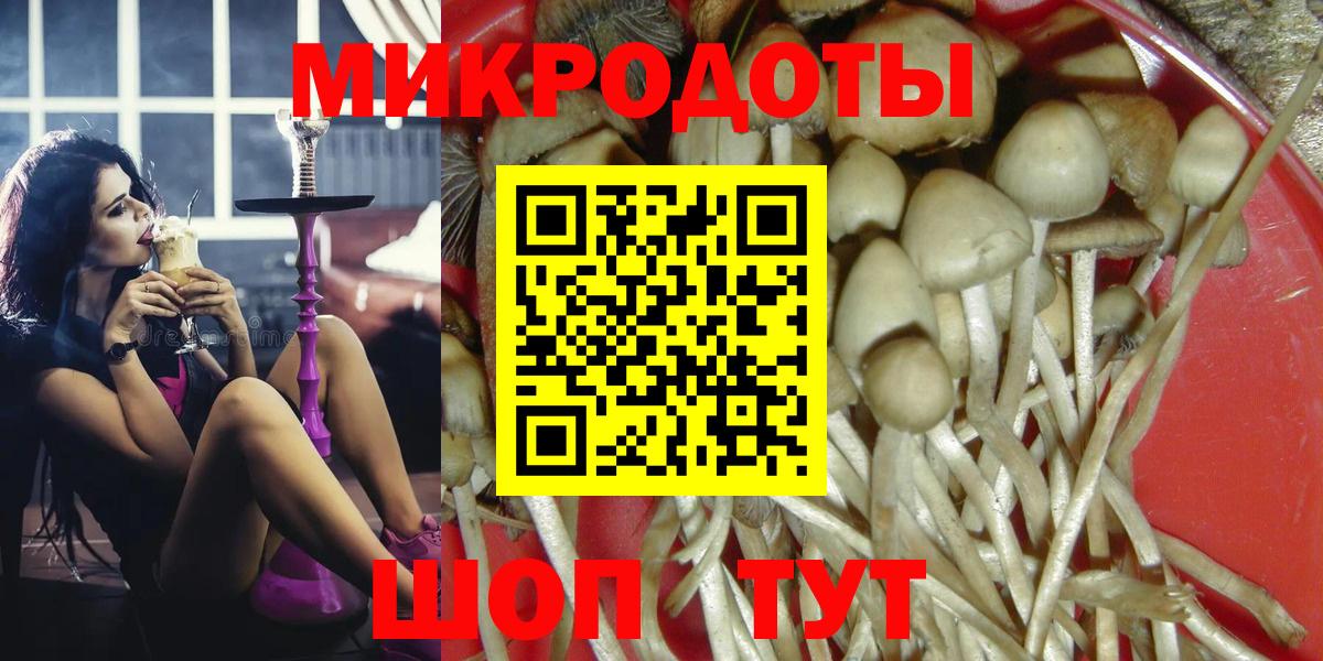 Сургут  хочу   Вход с VPN  Псилоцибиновые грибы мухоморы 